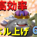 【序盤〜クリア後まで】レベル上げに最適なおすすめメタル狩り場6選【ドラクエ11S】【PS4版対応】