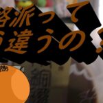 むか新　本格派どら焼きを食べてみた。本格派ってこういう風何だ～