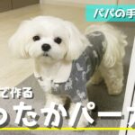 【手作り犬服】500円で買った子供服をパパがリメイクしたら最高に可愛い犬用パーカーが出来ました【マルチーズ】