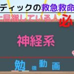 【救命士国家試験対策】YouTube超時短学習!!「神経系」