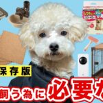 【子犬のお迎え準備】使って分かった飼う前に必要なもの