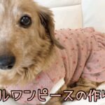 犬服フリルワンピース　犬服ハンドメイド