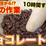 カカオ豆からカカオ100%チョコレート作るのが地獄だった。。。