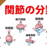 関節の種類の覚え方