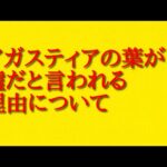 アガスティアの葉が嘘だと言われる理由について憶測して話してみた！