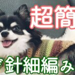 【かぎ針犬用セーター】とじはぎ無し簡単な小型犬のセーターを100均毛糸NEWケークで編んでみました