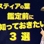 【アガスティアの葉 オンライン】アガスティアの葉をオンライン鑑定を受ける前の心構えをきちんとしていれば、鑑定内容は飛躍的に良くなります