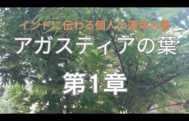 アガスティアの葉には何が書いてあるのか？！私の経験した事をお話ししています。