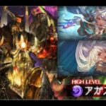 【グラブル】アガスティアhl　ソロ　コスモス採用