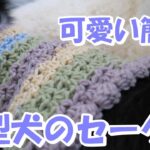 【かぎ針犬用セーター】100均毛糸CAKE２玉で簡単な犬服を編んでみました (材料はNewケーク２玉かぎ針７号）半日で編める簡単犬用セーターです