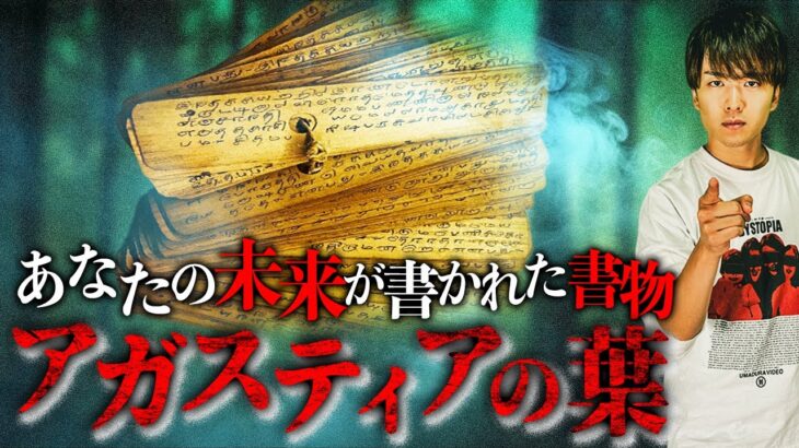 全人類の人生の未来が書かれた書物「アガスティアの葉」