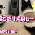 【かぎ針犬用セーター】2玉で編める簡単な小型犬のセーター 100均毛糸フラッフィでくるくる丸い編み方です