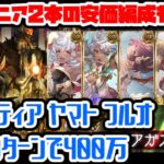 【グラブル】ハルモニア2本で出来る装備敷居下げ版あります　セルエル無し　修正後　アガスティア　フルオート　大体8ターンで400万【GBF】Agastia Full Auto FA